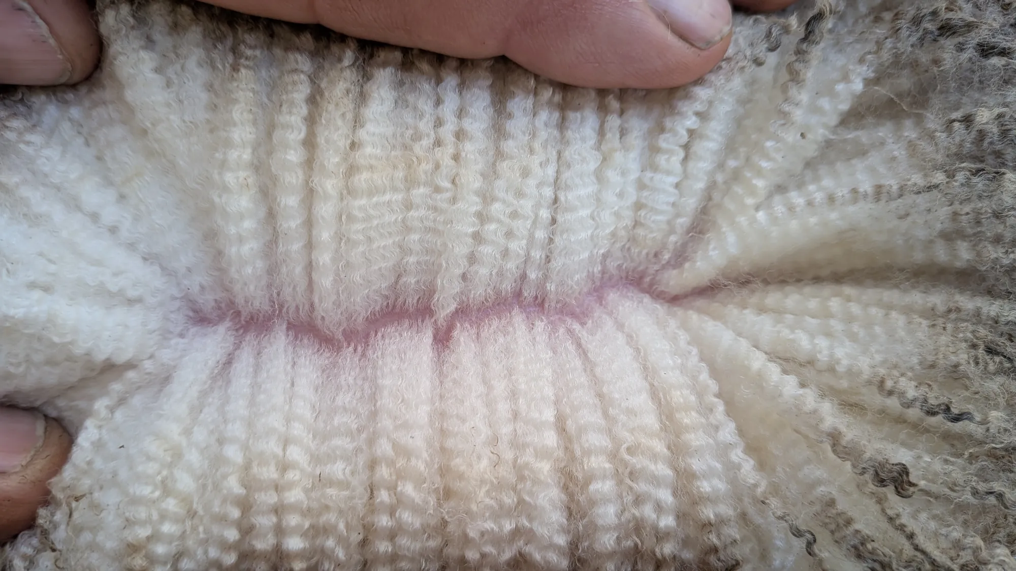 Mumblebone Lot 336, 2026 Ram Sale Merino ram